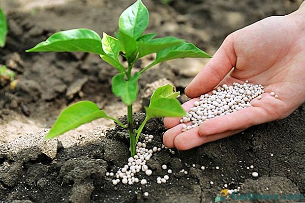 Bio gnojiva: S čim ne smijemo gnojiti vrtne biljke