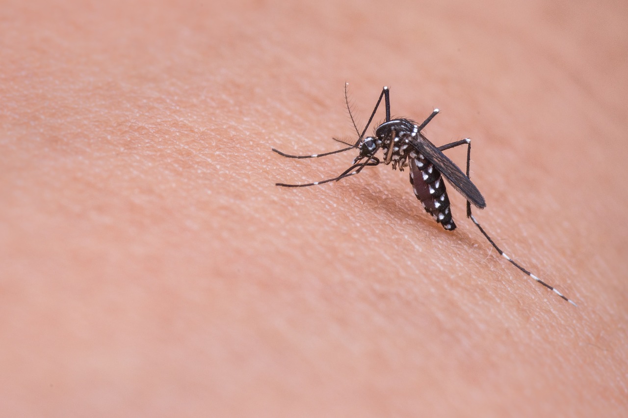 Smjesa koja će “zabraniti” komarcima ulaz u vaš dom!