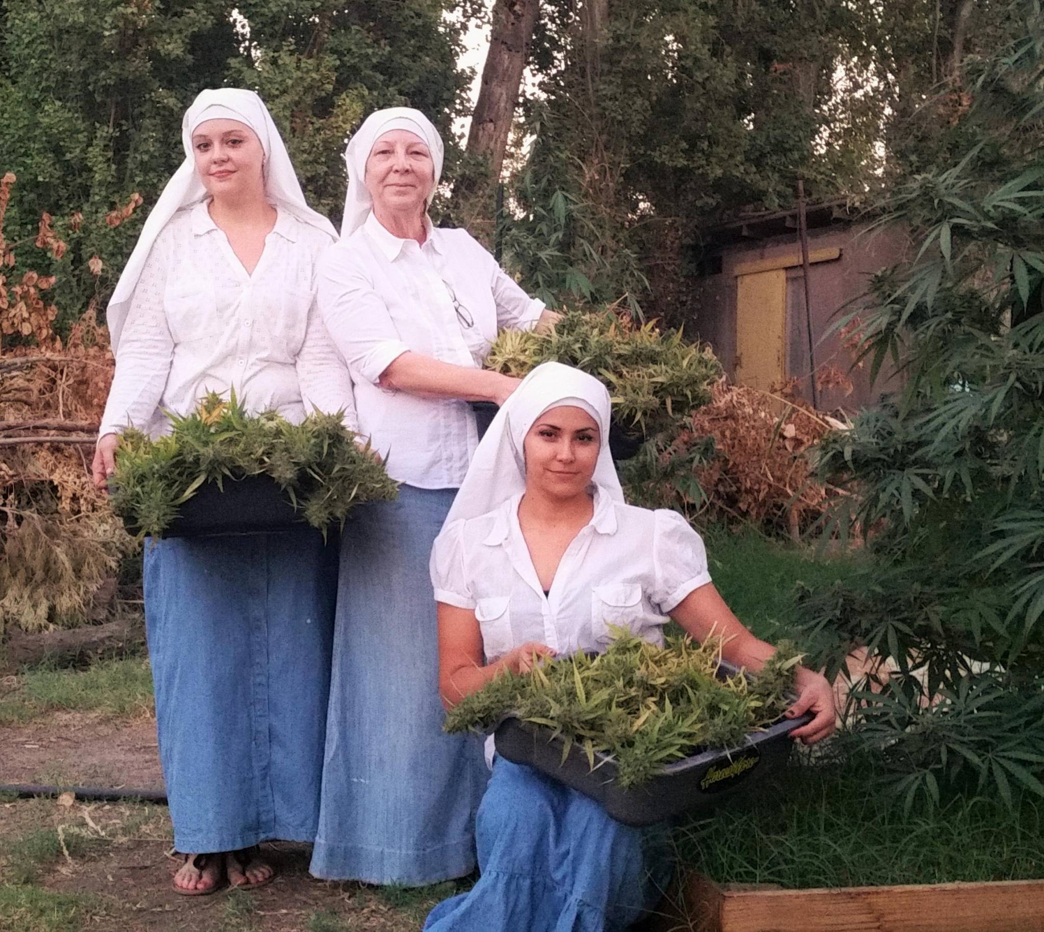 Ovo su časne sestre koje uzgajaju marihuanu