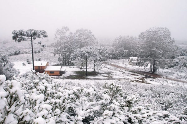 Zbog snijega i mraza u Brazilu CIJENE KUKURUZA ĆE DA EKSPLODIRAJU!