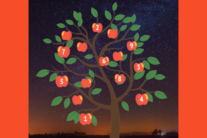 Test: “Drvo želja” otkriva hoće li se vaša želja ostvariti