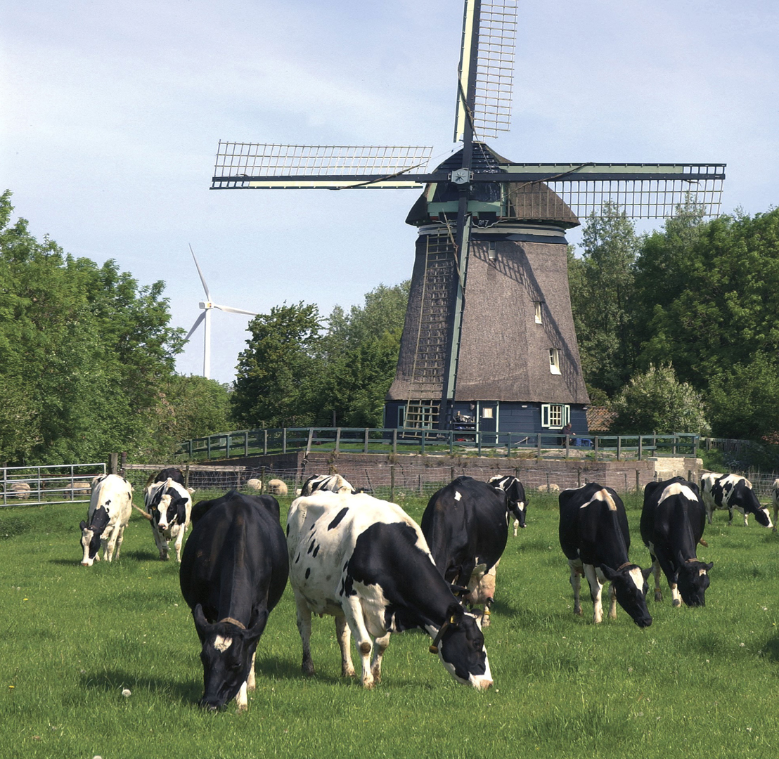 KAKVO JE OVO LUDILO I IZAZIVANJE GLADI?! Holandska Vlada će farmerima prisilno oduzeti i uništiti 600 farmi
