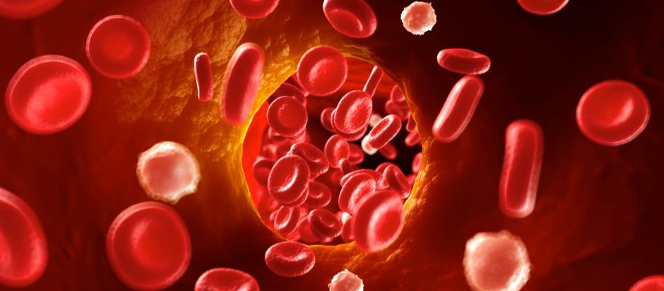 Namirnice koje pomažu razrjeđivanje krvi i sprječavanje stvaranja tromba: Ako imate problema sa srcem, ovo je spas!
