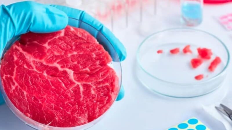 KINEZI će uskoro da jedu MESO UZGOJENO U LABORATORIJI – Pogoni za proizvodnju mesa od životinjskih ćelija se šire po Kini