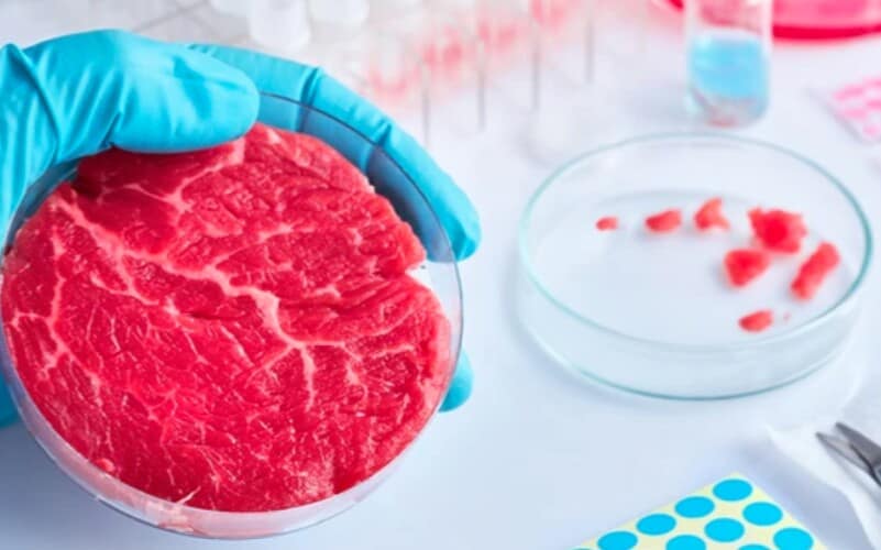 KINEZI će uskoro da jedu MESO UZGOJENO U LABORATORIJI – Pogoni za proizvodnju mesa od životinjskih ćelija se šire po Kini