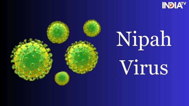 Indija uvodi ograničenja kretanja zbog širenja Nipah virusa – Stopa smrtnosti do 75%