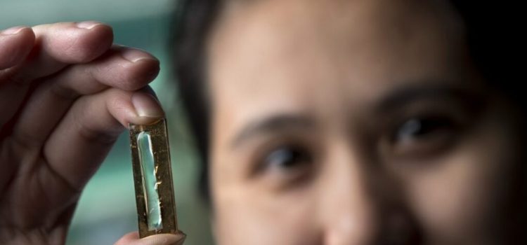 Studentin erfindet “aus Versehen” wiederaufladbare Batterie, die 400 Jahre halten kann