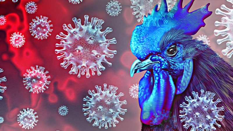 Nove vakcine već su razvijene i nagomilane za pandemijsku gripu koja još uopšte ne postoji